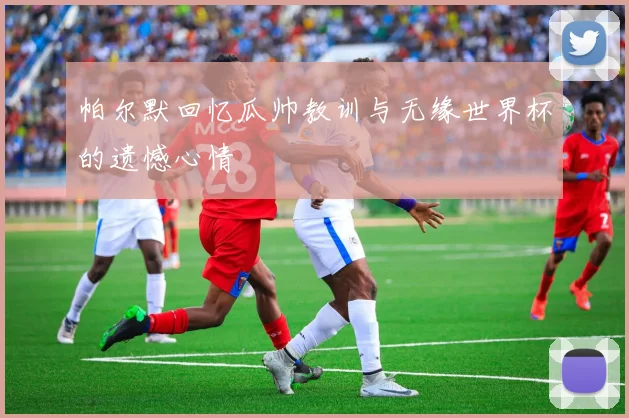 帕尔默回忆瓜帅教训与无缘世界杯的遗憾心情