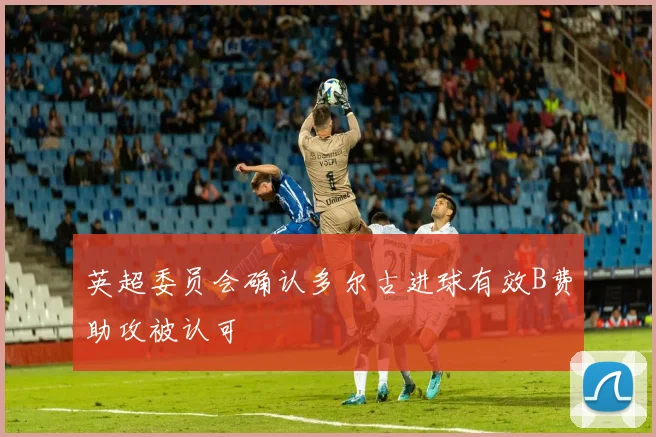 英超委员会确认多尔古进球有效B费助攻被认可